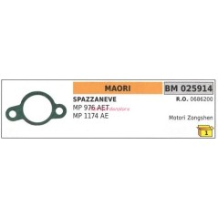 Guarnizione MAORI spazzaneve MP976 AET 1174AE 025914 | Newgardenstore.eu