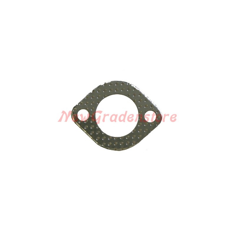 Joint de membrane d'échappement BRIGGS & STRATTON Quantum 35 69181 - 271918 320191