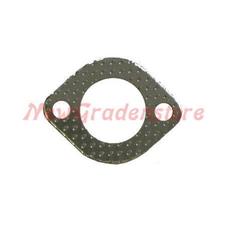 Exhaust diaphragm gasket BRIGGS & STRATTON Quantum 35 69181 - 271918 320191 | Newgardenstore.eu