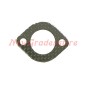 Joint de membrane d'échappement BRIGGS & STRATTON Quantum 35 69181 - 271918 320191