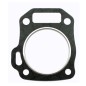 Diaphragm head gasket for LT200 petrol engine 361632