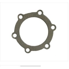 Cylinder head gasket AV 4 HP lawn mower TECUMSEH 29620011 | Newgardenstore.eu