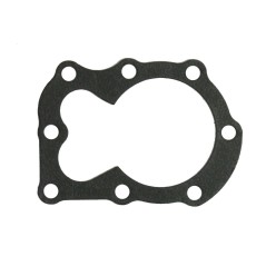 Motor head gasket lawn mower SV150 GGP STIGA ALPINA 118550359/0 | Newgardenstore.eu