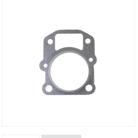 Guarnizione testa motore tagliaerba rasaerba V6-10-001-000 NGP -TOPOWER - DAYE | Newgardenstore.eu