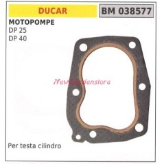 Zylinderkopfdichtung DUCAR Motorpumpe DP 25 40 038577 | Newgardenstore.eu