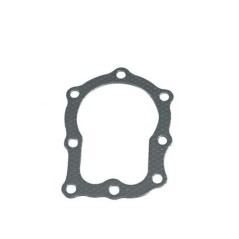 BRIGGS & STRATTON engine cylinder head gasket 11 horizontal 270836 272171 | Newgardenstore.eu