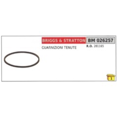 BRIGGS & STRATTON Dichtungen 281165