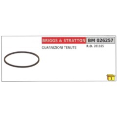 Guarnizioni tenute BRIGGS & STRATTON 281165