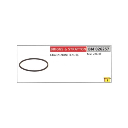 Joints BRIGGS & STRATTON 281165 | Newgardenstore.eu