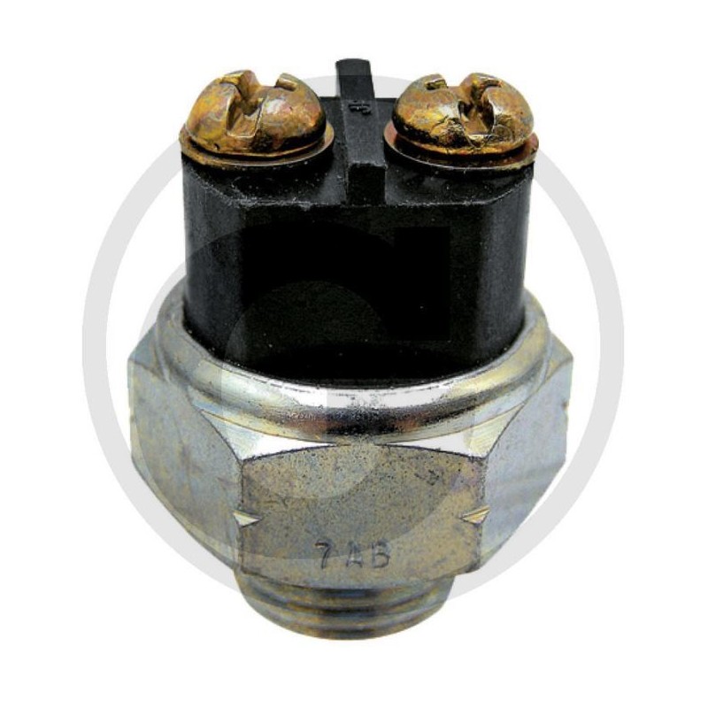 Interrupteur de tondeuse compatible CASTEL GARDEN 19410610/0