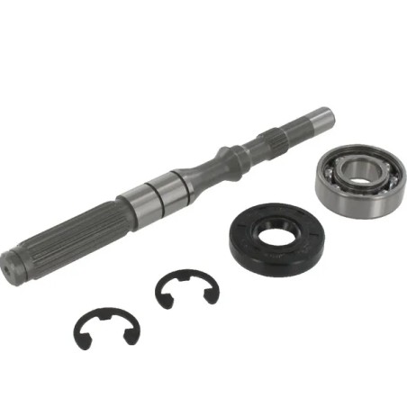 ORIGINAL TUFF TORQ traction transmission pump shaft kit with bearings 1A646099950 | Newgardenstore.eu