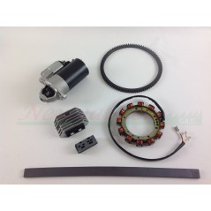 Kit de arranque eléctrico con regulador de motor DIESEL LOMBARDINI 15LD315 15LD350 | Newgardenstore.eu