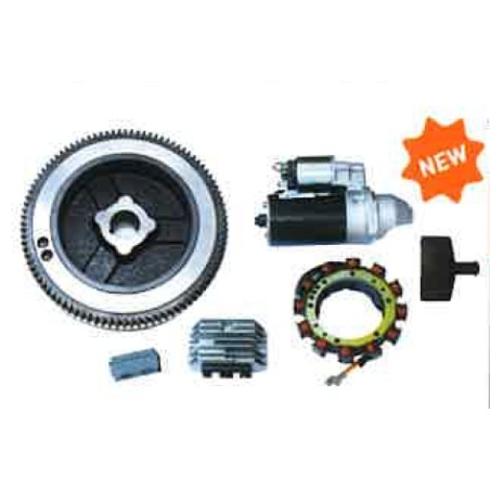 Electric starter kit flywheel alternator motor LOMBARDINI 15LD315 15LD350 | Newgardenstore.eu