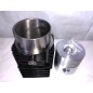 Kit cylinder piston 100 mm DIESEL engine LOMBARDINI LDA100 4LD705 4898.004