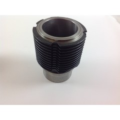 Cylinder kit piston 85 mm engine DIESEL RUGGERINI RF100 RD85 ADN48 130139K | Newgardenstore.eu