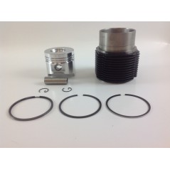 Cylinder piston kit 90 mm DIESEL engine LOMBARDINI 12LD477-2 RUGGERINI RD210 | Newgardenstore.eu