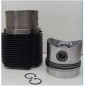 Kit piston cylindre 95 mm moteur DIESEL LOMBARDINI 914 8LD665/2 4898.015