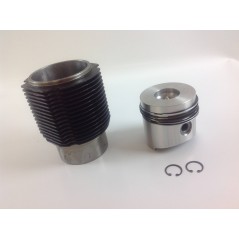 Cylinder piston kit 95mm DIESEL engine RUGGERINI RD270 RD278 A2397 130115K | Newgardenstore.eu