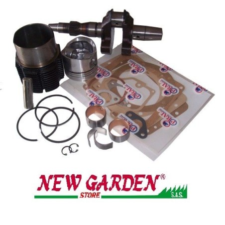 Kit cilindro pistone albero guarnizione LDA 100 motore DIESEL LOMBARDINI KIT100CN2 | Newgardenstore.eu