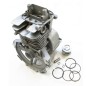 Kit cilindro pistone compatibile con decespugliatore HONDA GX-35