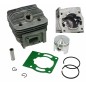 Cylinder piston kit for brushcutter 43 Euro 2 KASEI 1E40F-E-1