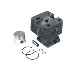 STIHL FS 120 - FS 120 R - FS 200 - FS 200 R brushcutter piston cylinder kit | Newgardenstore.eu