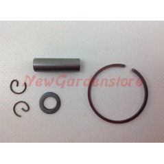 Cylinder and piston rod kit compatible with STAR 30-31 brushcutter GGP 8541093 | Newgardenstore.eu