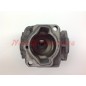 Cylinder and piston rod kit compatible with STAR 30-31 brushcutter GGP 8541093