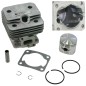 KASEI 1E34F-2E-1 brushcutter engine piston piston cylinder kit