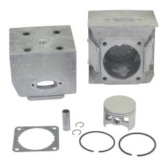 Cylinder piston segment kit EB800 blower engine d. 53 mm KASEI EB-800-E.1.3 | Newgardenstore.eu