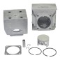 Cylinder piston segment kit EB800 blower engine d. 53 mm KASEI EB-800-E.1.3