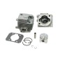 Kit cilindro pistone segmenti motore tagliasiepe SLP600A Ø 34mm KASEI 1E34FL-E-6