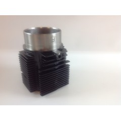 Kit cilindro pistone serie smeriglio motore LOMBARDINI LDA820 4LD820 4898.005 | Newgardenstore.eu