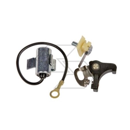 ASPERA capacitor contact kit 2 4-stroke 16320001 24170003 | Newgardenstore.eu