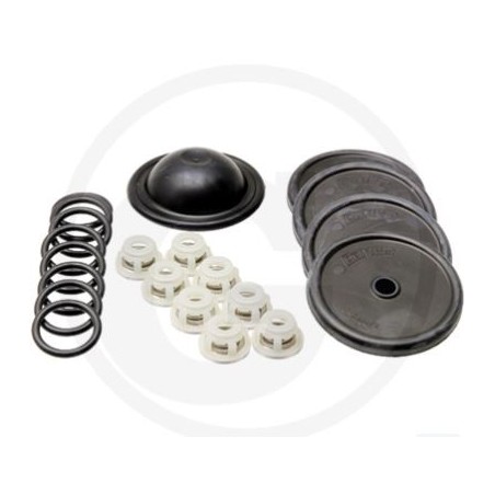 Kit de réparation pour pompe à membrane BP 151K BP 171K ANNOVI 6705026014500 | Newgardenstore.eu