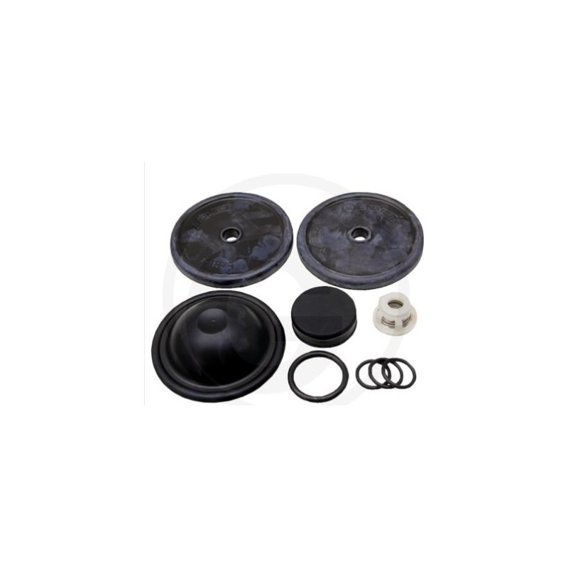 Kit de réparation pour pompe à membrane BP 60K ANNOVI 6705026034400