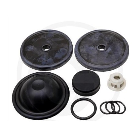 Kit de reparación para bomba de membrana BP 60K ANNOVI 6705026034400 | Newgardenstore.eu