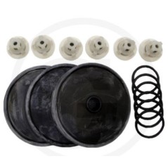 Repair kit for diaphragm pump BP 75 ANNOVI 6705026032300 | Newgardenstore.eu