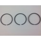 Piston ring kit 3 segments + 1.00 91 mm engine DIESEL LOMBARDINI 12LD477-2 RUGGERINI