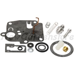 Kit d'étanchéité pour tracteur de pelouse compatible BRIGGS & STRATTON 494623 | Newgardenstore.eu