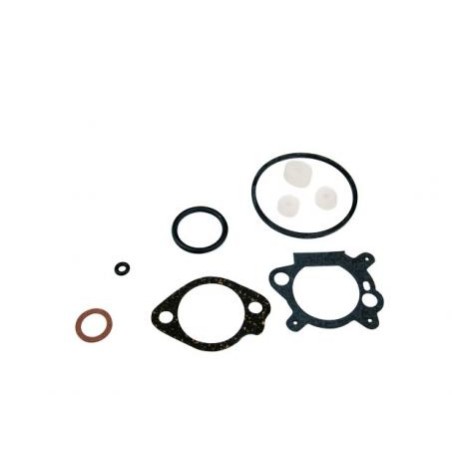 Carburettor gasket kit compatible with BRIGGS&STRATTON 9 10 hp vertical engine | Newgardenstore.eu