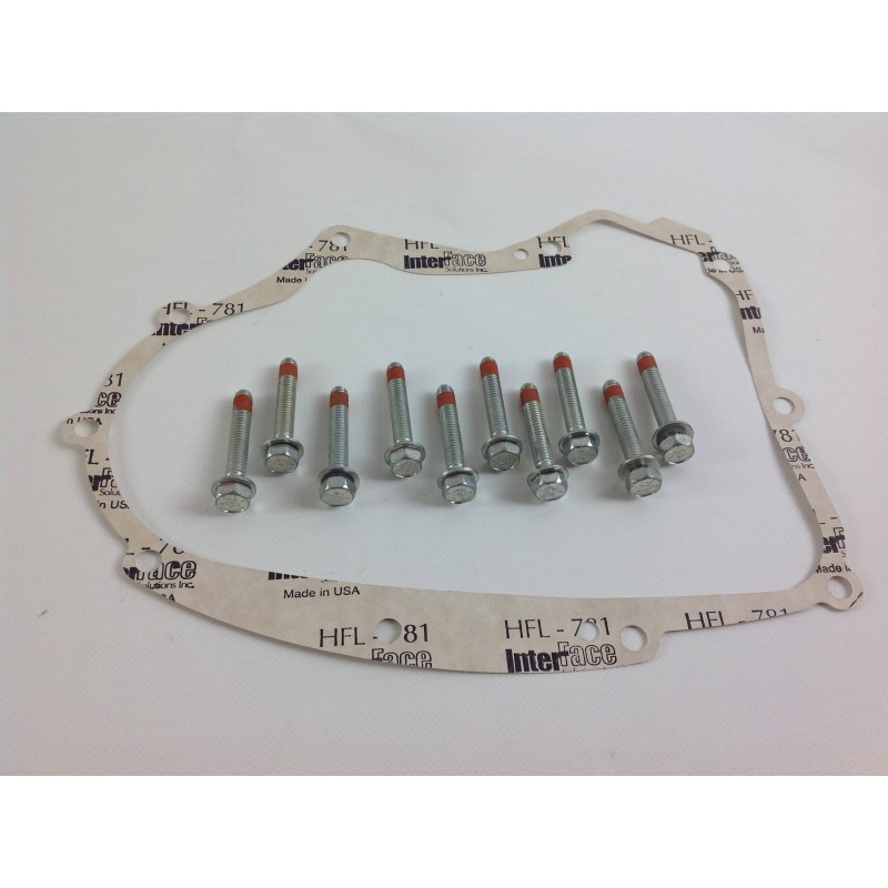 CARTER GASKET KIT für BRIGGS STRATTON Rasentraktormotor