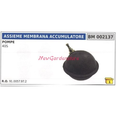Conjunto membrana acumulador Bomba UNIVERSAL Bertolini 40S 002137 | Newgardenstore.eu