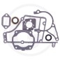Gasket kit brushcutter chainsaw blower STIHL TS 400 42230071050