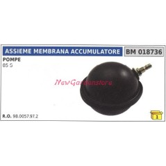 Accumulator diaphragm assembly UNIVERSAL Bertolini 85S pump 018736 | Newgardenstore.eu