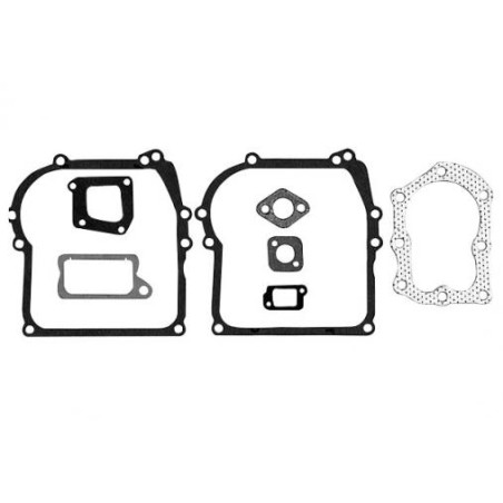 Engine gasket kit BRIGGS & STRATTON 11 vertical cod. 391662 | Newgardenstore.eu