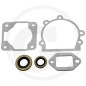 Engine gasket kit for brushcutter, chainsaw and blower STIHL 42030071050