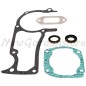 Kit juntas motor dos tiempos desbrozadora motosierra HUSQVARNA 5036472-01