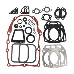 Gasket kit for BRIGGS & STRATTON two-cylinder VANGUARD engine 841188 320311 | Newgardenstore.eu