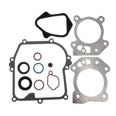 Kit de juntas para motor BRIGGS & STRATTON serie 450/500 OHV 08/09P000 595350